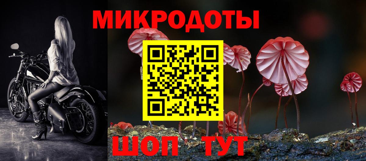 Псилоцибиновые грибы мицелий  Вход с VPN  Иркутск 